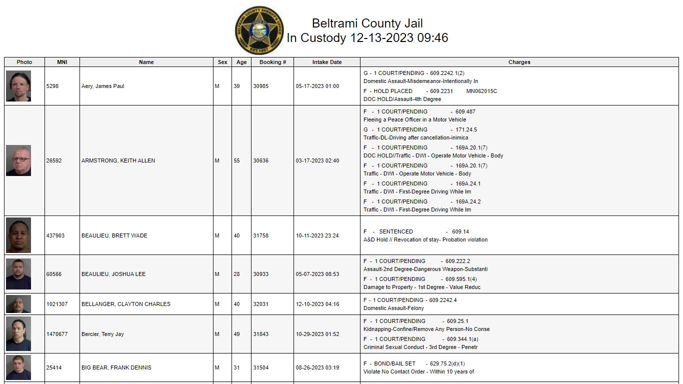 Custody - Beltrami County, Minnesota